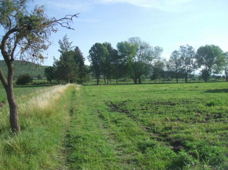 Terrenos Angelive