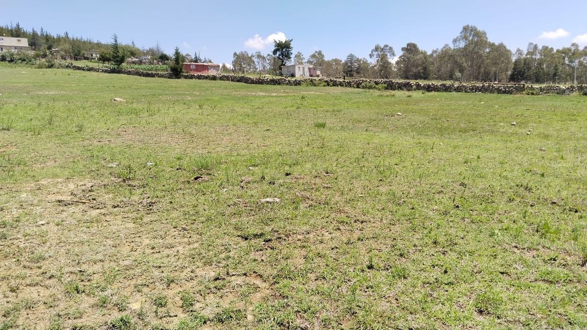 Terrenos Angelive